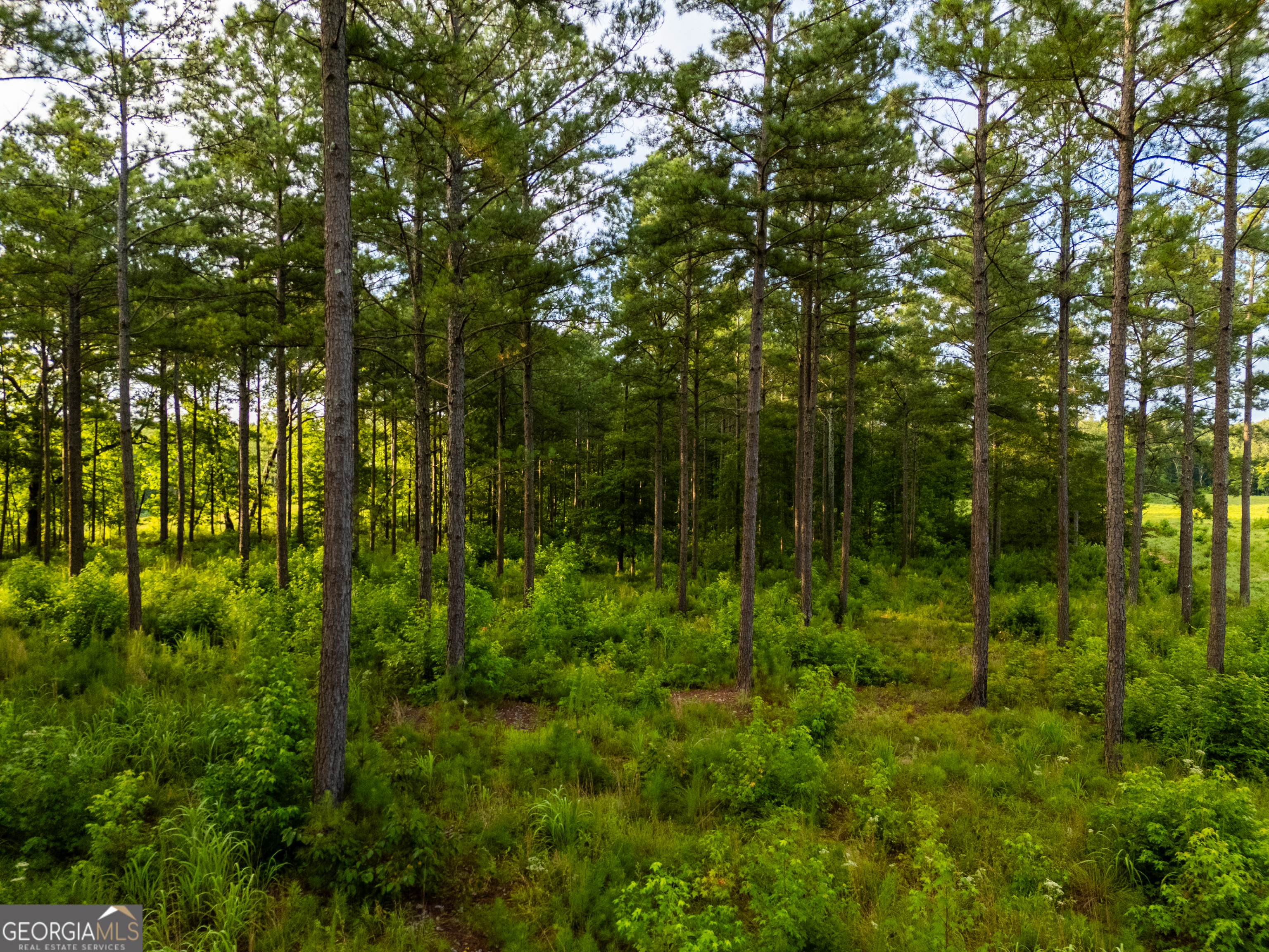 2199 Roosterville Road Roopville, GA 30170 - Photo 5 of 129