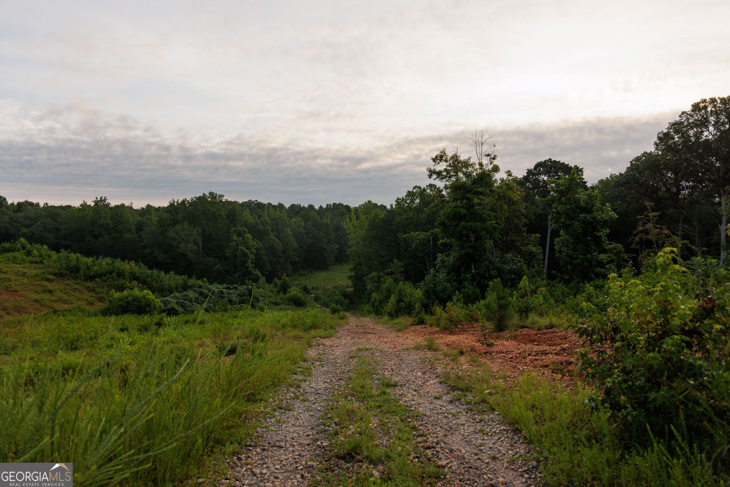 2199 Roosterville Road Roopville, GA 30170 - Photo 80 of 129 a view of a city with lush green forest