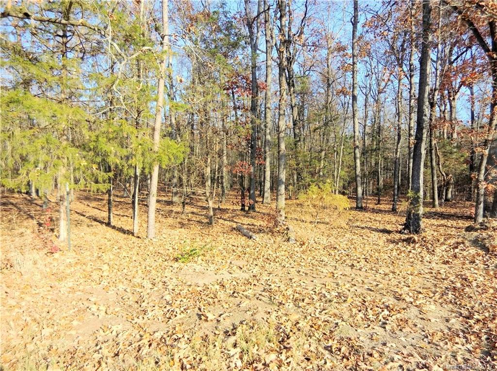 6925 Shelf Road Marshville, NC 28103 - Photo 5 of 24 a view of a yard with trees