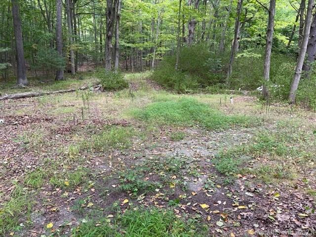 421 Webb Circle Monroe, CT 06468 - Photo 1 of 1 a view of a forest with trees in the background