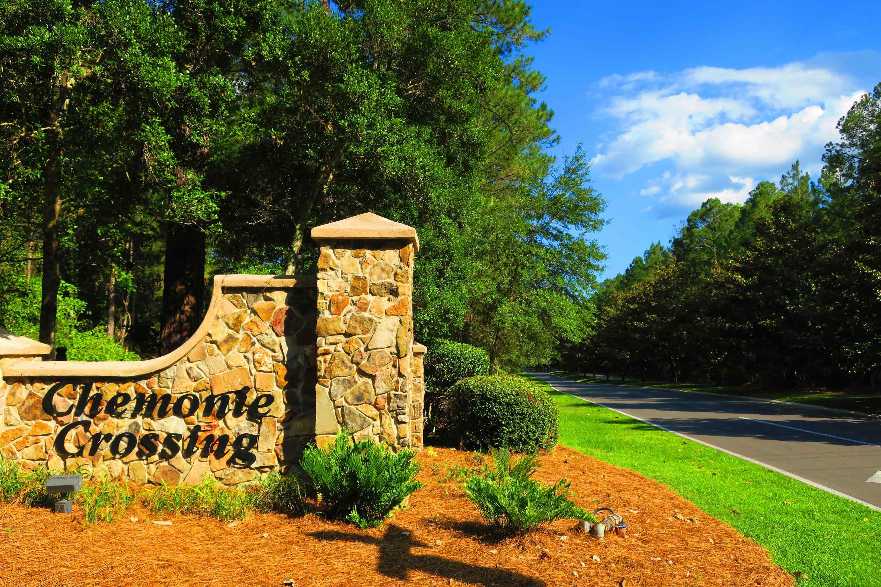 9093 Old Chemonie Road Tallahassee, FL 32309 - Photo 48 of 49