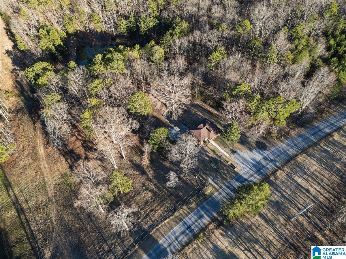 4751 Red Valley Road Remlap, AL 35133 - Photo 19 of 25