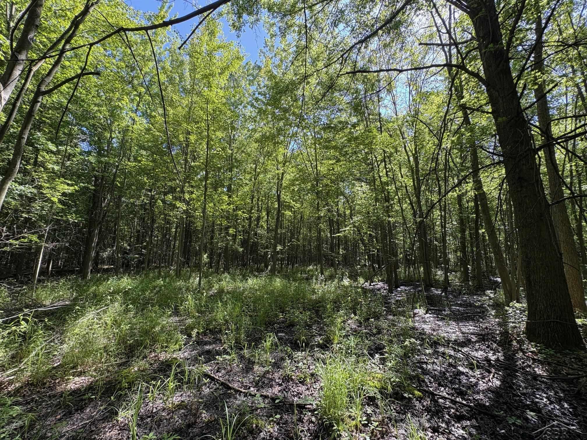 North Gleaner Rd Roads Saginaw, MI 48609 - Photo 4 of 5 Gallery Image 4
