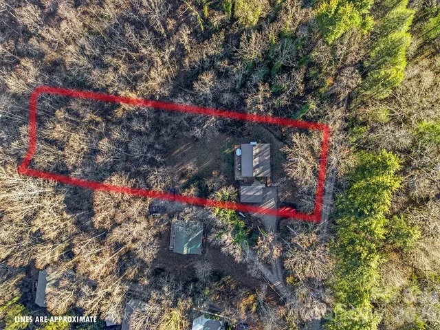 a view of a potted flower in a yard
