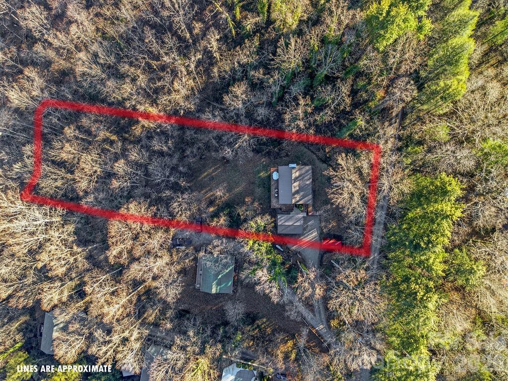 34 Greenbriar Road Black Mountain, NC 28711 - Photo 3 of 35