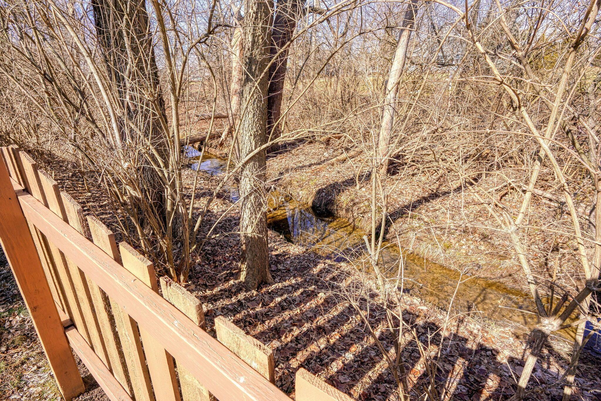 7732 Maple Run Lane Powell, OH 43065 - Photo 57 of 59 Creek