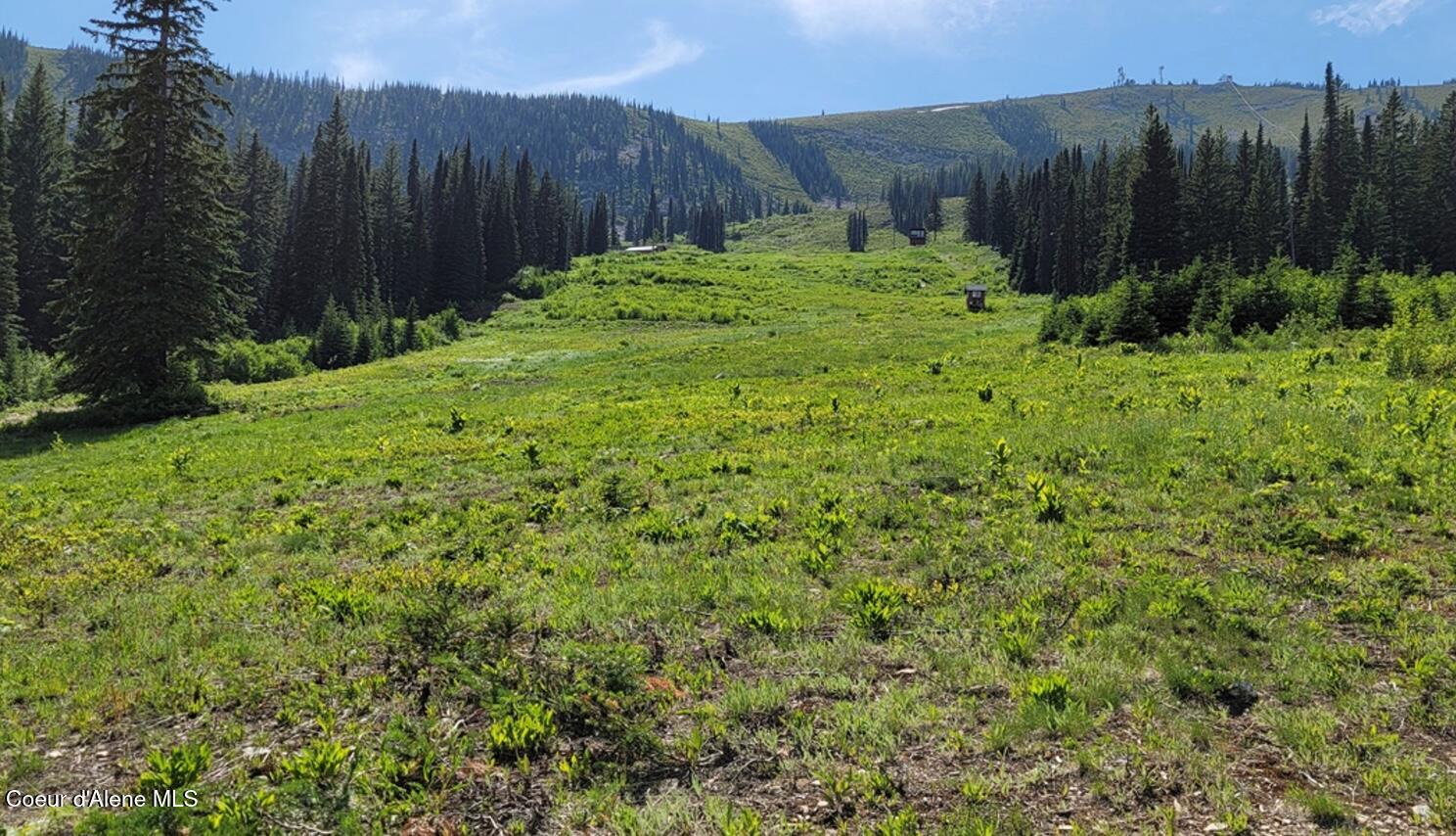 L1 & L2 B3 Sandpoint, ID 83864 - Photo 28 of 40 Summer at Crystal View
