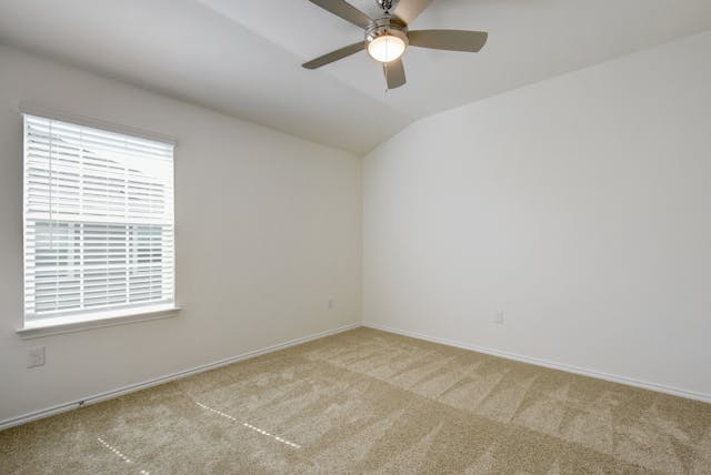 185 Azure Cove Kyle, TX 78640 - Photo 14 of 19