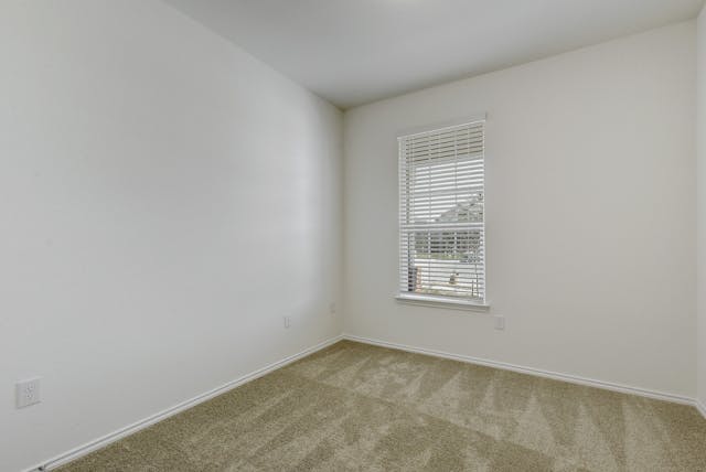 185 Azure Cove Kyle, TX 78640 - Photo 6 of 19