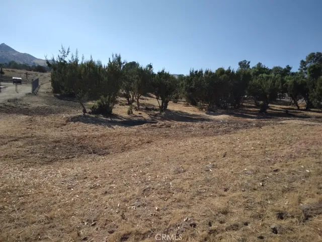 a view of a yard with a tree