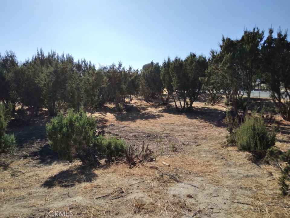 0 Agua Dulce Canyon Road Agua Dulce, CA 91390 - Photo 3 of 5 a view of outdoor space with trees all around