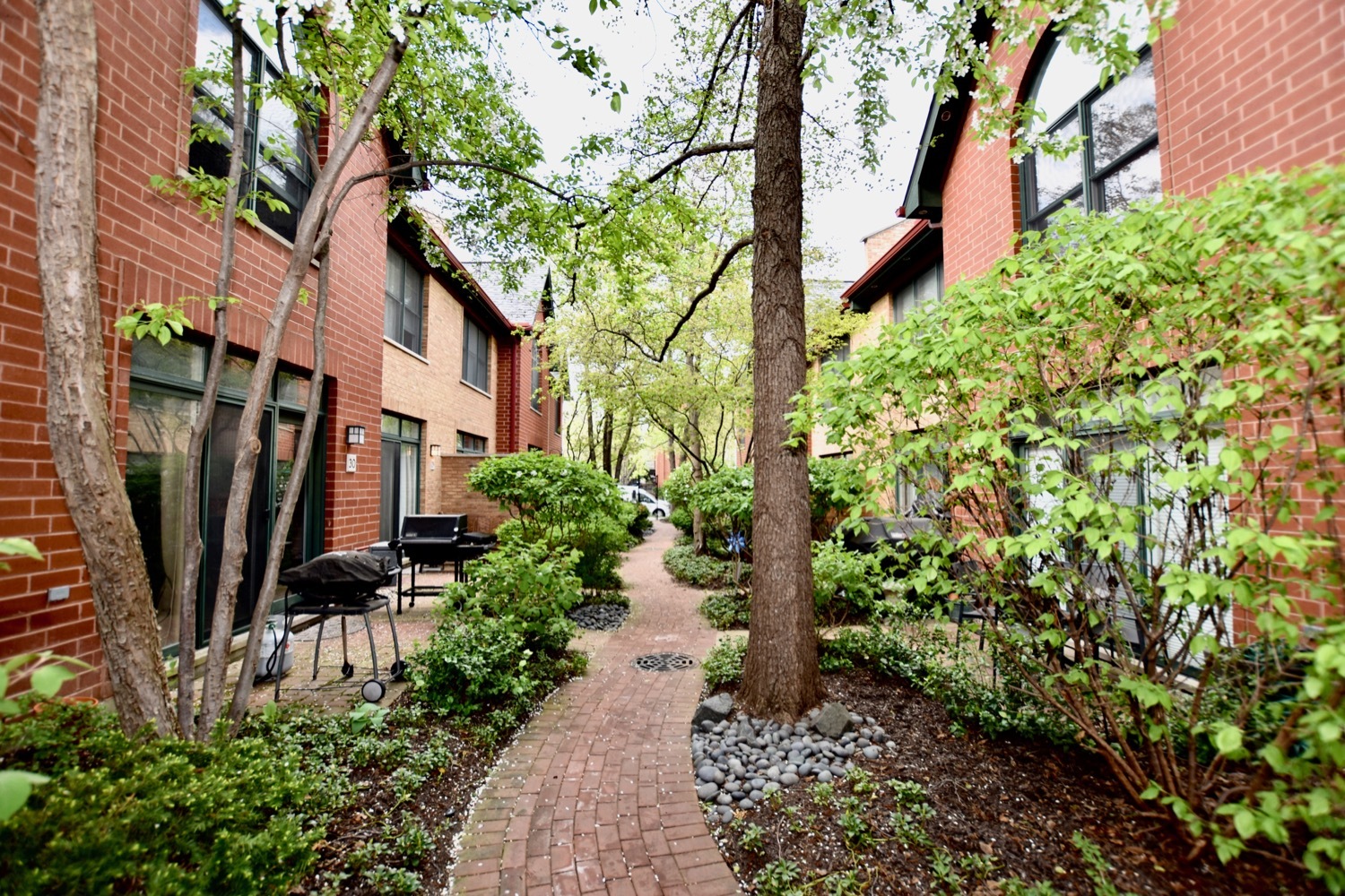 1801 West Diversey Parkway, Unit 18 Chicago, IL 60614 - Photo 2 of 32 a view of a garden with plants