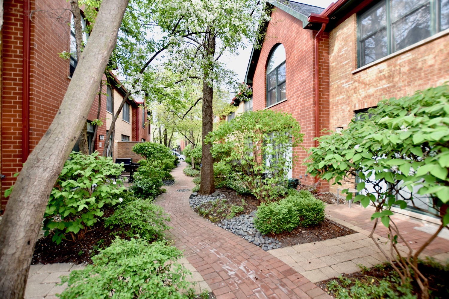1801 West Diversey Parkway, Unit 18 Chicago, IL 60614 - Photo 31 of 32 a backyard of a house with lots of green space