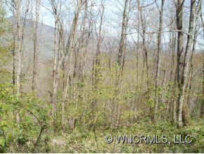 92-94 Grace Ridge Road Bakersville, NC 28705 - Photo 4 of 13 Gallery Image 4
