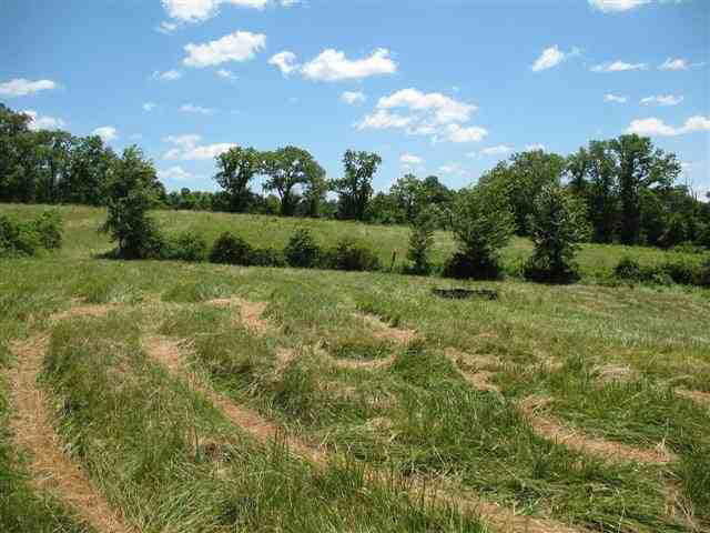 3559 North Rinkers Creek Road Salem, IN 47167 - Photo 7 of 8
