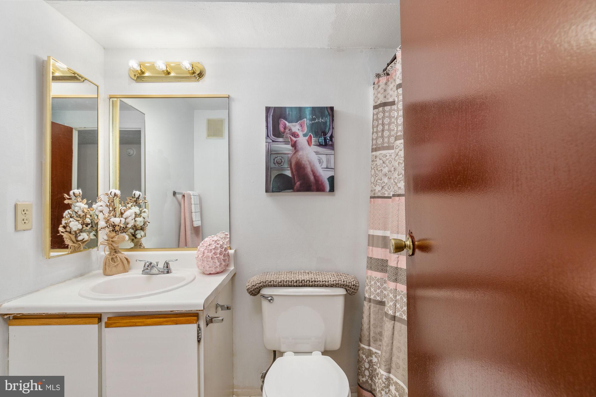 4420 Groombridge Way, Unit 4420E Alexandria, VA 22309 - Photo 20 of 39 Full, hall bathroom