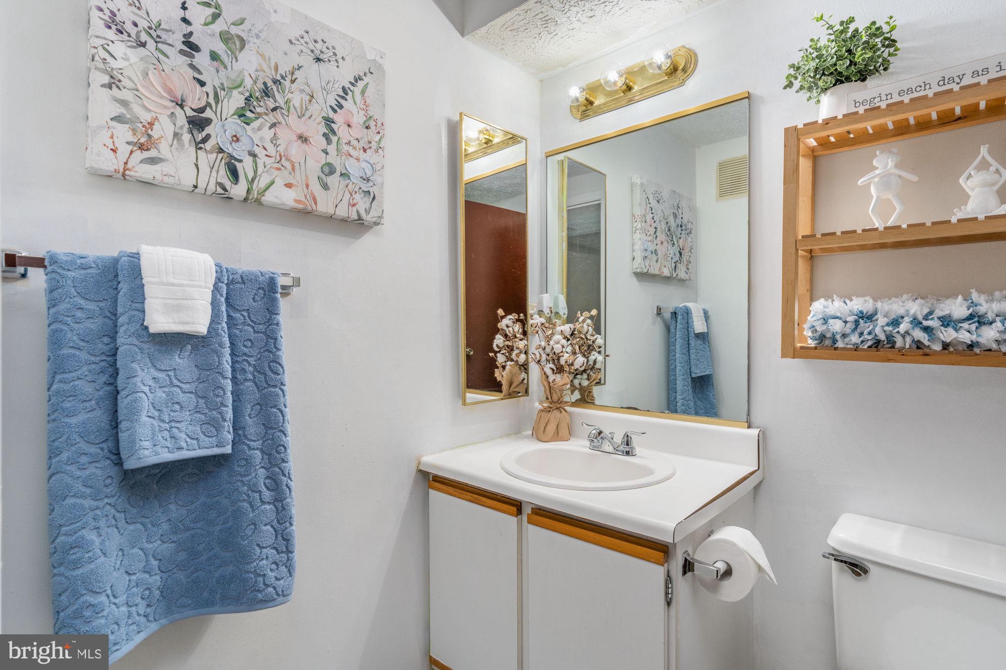 4420 Groombridge Way, Unit 4420E Alexandria, VA 22309 - Photo 29 of 39 En Suite bathroom