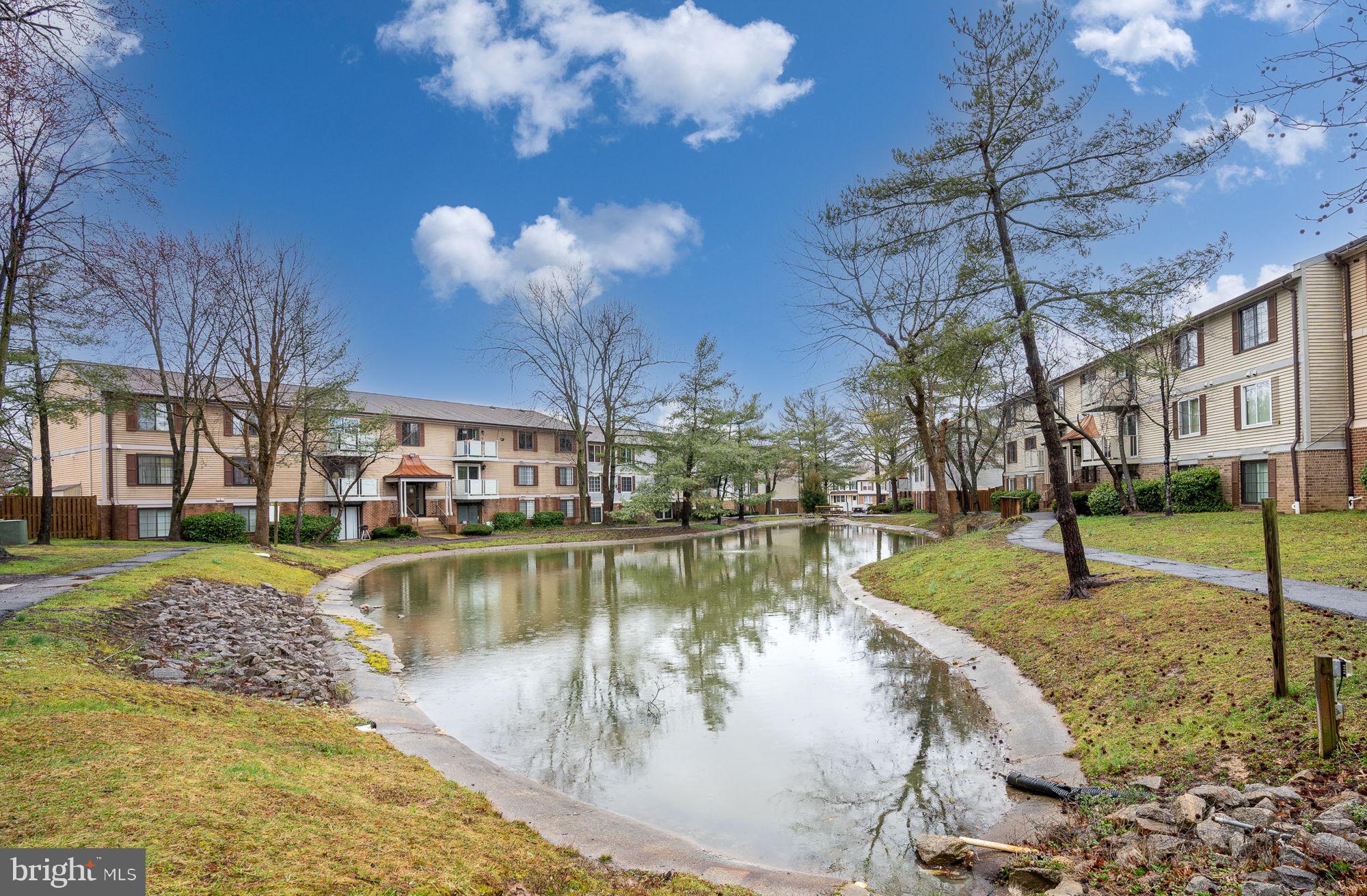 4420 Groombridge Way, Unit 4420E Alexandria, VA 22309 - Photo 37 of 39 Enjoy the turtles and beauty
