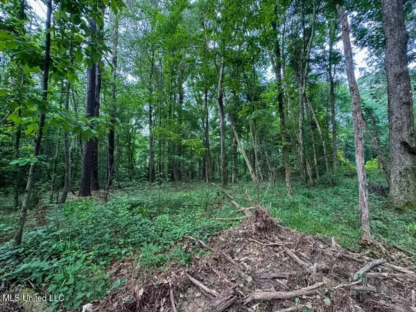 $67,000 | 2 Old Hamburg Road, Roxie, MS 39661