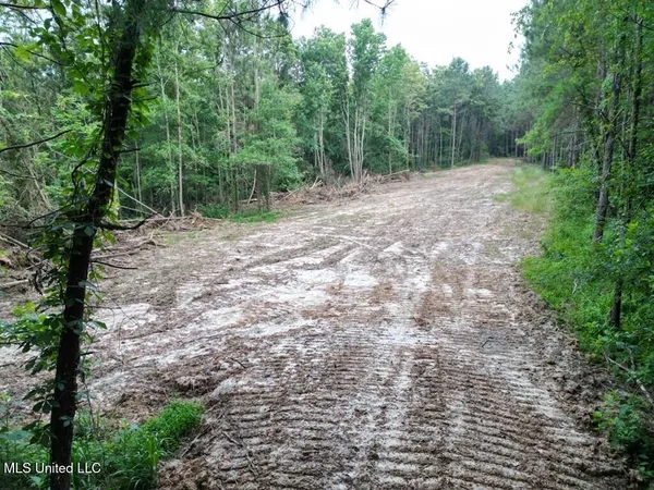 $67,000 | 2 Old Hamburg Road, Roxie, MS 39661