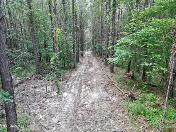 $67,000 | 2 Old Hamburg Road, Roxie, MS 39661