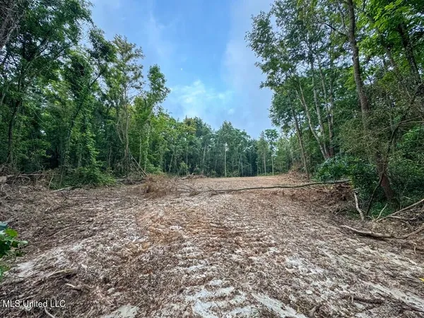 $67,000 | 2 Old Hamburg Road, Roxie, MS 39661