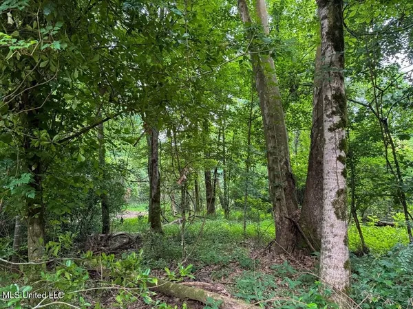 $67,000 | 2 Old Hamburg Road, Roxie, MS 39661