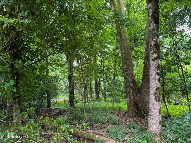 $67,000 | 2 Old Hamburg Road, Roxie, MS 39661