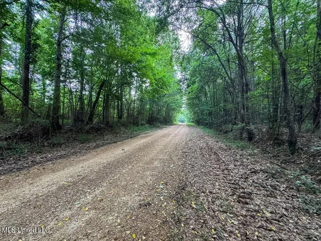 $67,000 | 2 Old Hamburg Road, Roxie, MS 39661