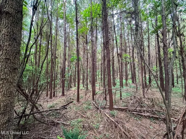 $67,000 | 2 Old Hamburg Road, Roxie, MS 39661