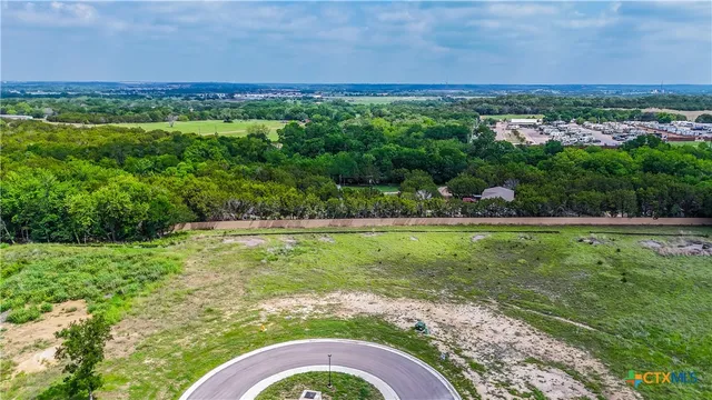 a view of a city with lush green forest