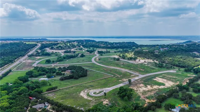 a view of a street with a large trees