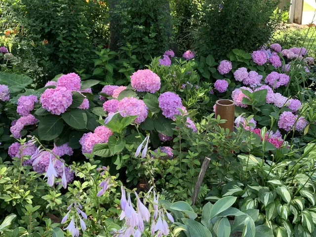 $239,000 | 1329 North Parkway, Memphis, TN 38104