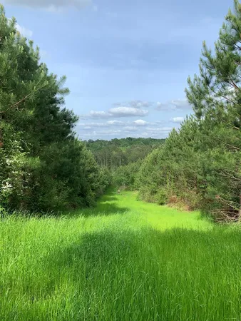 $895,386 | . Macedonia Road, Centreville, MS 39631