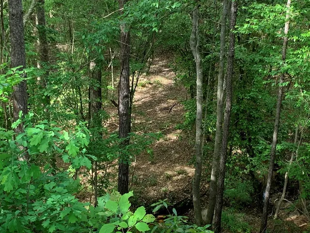 $850,050 | . Macedonia Road, Centreville, MS 39631