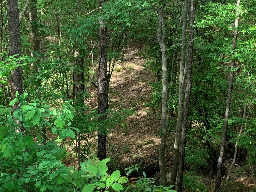 . Macedonia Road Centreville, MS 39631 - Photo 12 of 20 Photo 12