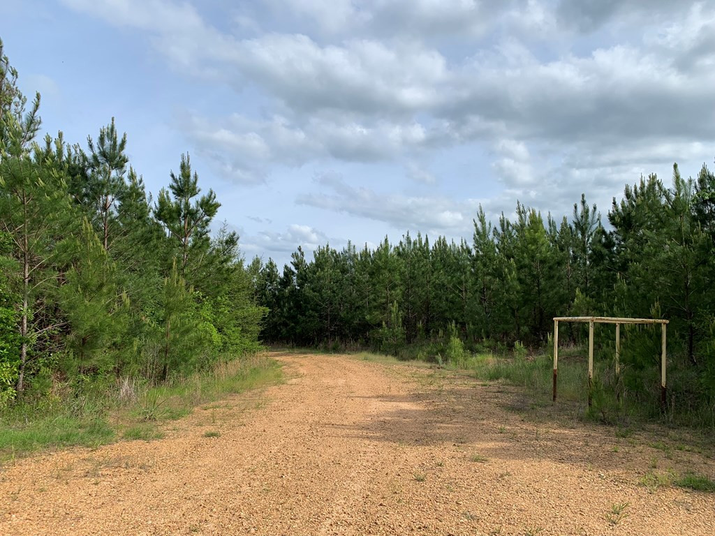 . Macedonia Road Centreville, MS 39631 - Photo 14 of 20 Photo 14