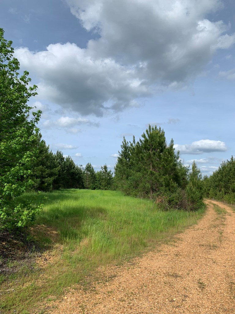 . Macedonia Road Centreville, MS 39631 - Photo 16 of 20 Photo 16