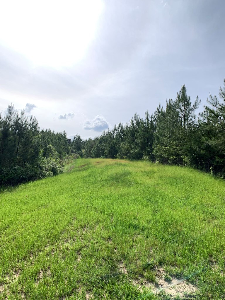 . Macedonia Road Centreville, MS 39631 - Photo 17 of 20 Photo 17