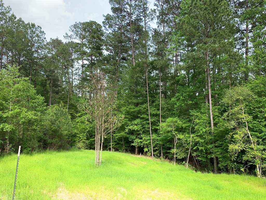 . Macedonia Road Centreville, MS 39631 - Photo 18 of 20 Photo 18