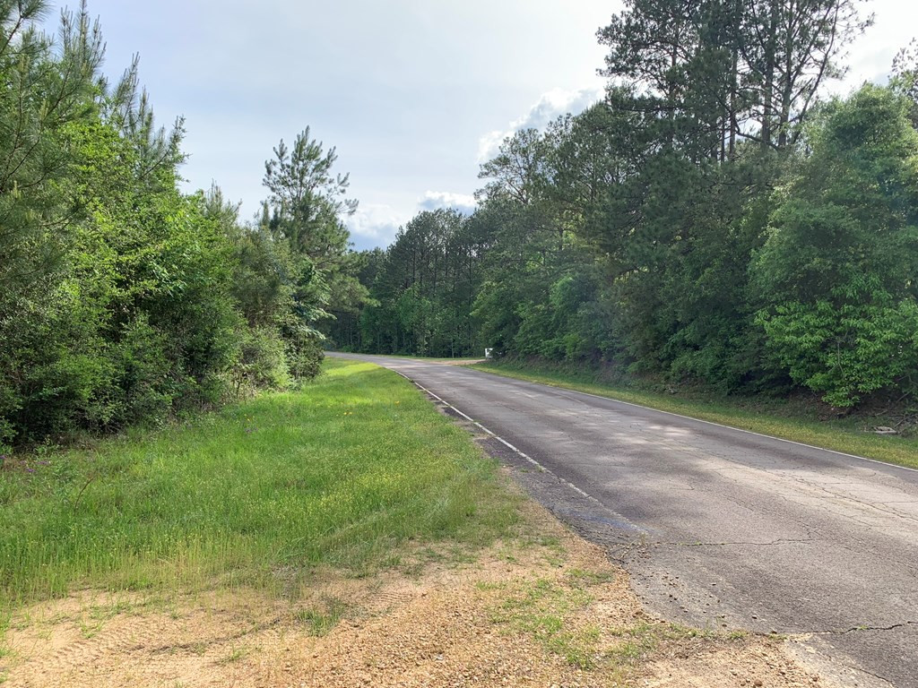 . Macedonia Road Centreville, MS 39631 - Photo 20 of 20 Photo 20