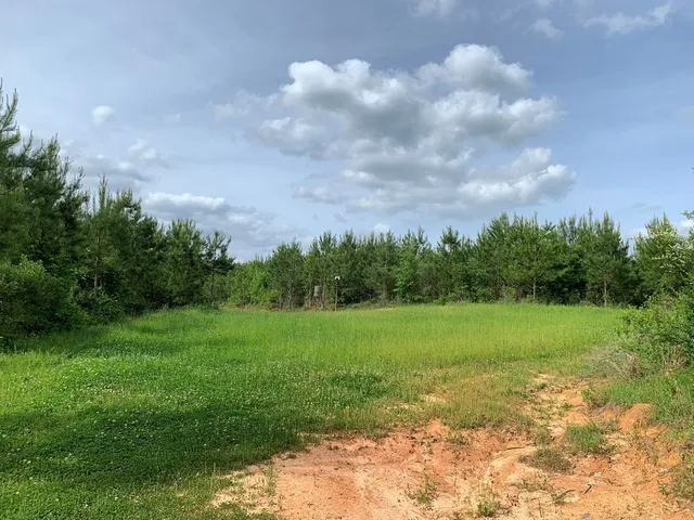 $850,050 | . Macedonia Road, Centreville, MS 39631