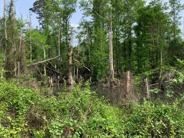 $895,386 | . Macedonia Road, Centreville, MS 39631