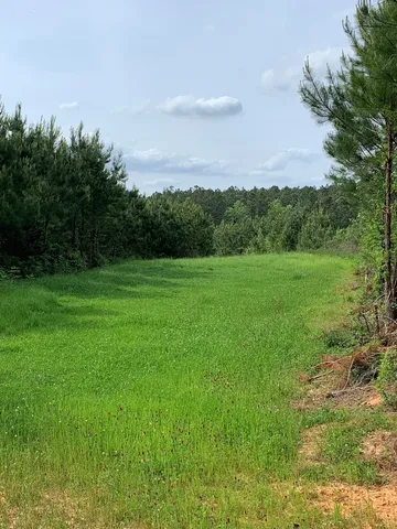 $850,050 | . Macedonia Road, Centreville, MS 39631