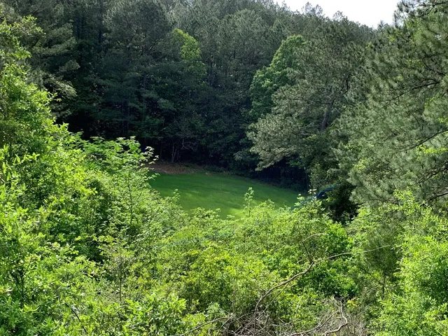 $850,050 | . Macedonia Road, Centreville, MS 39631