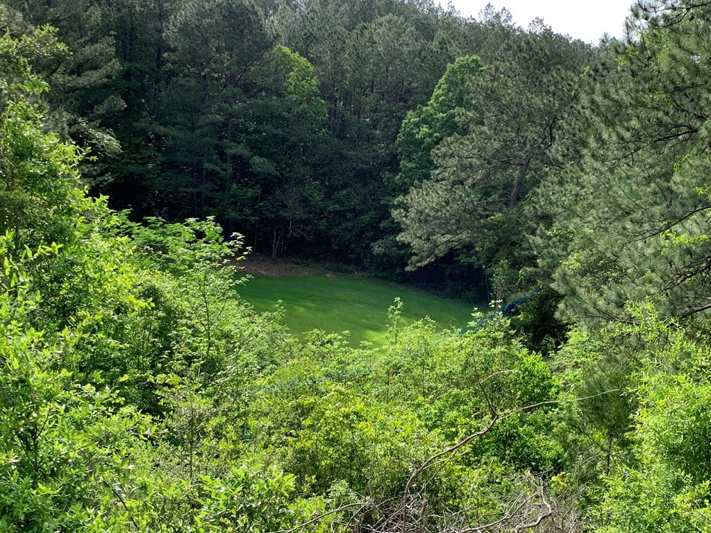 . Macedonia Road Centreville, MS 39631 - Photo 10 of 20 Photo 10