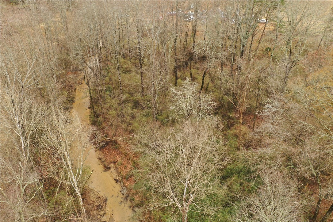 0 Chastain Road Liberty, SC 29657 - Photo 11 of 17