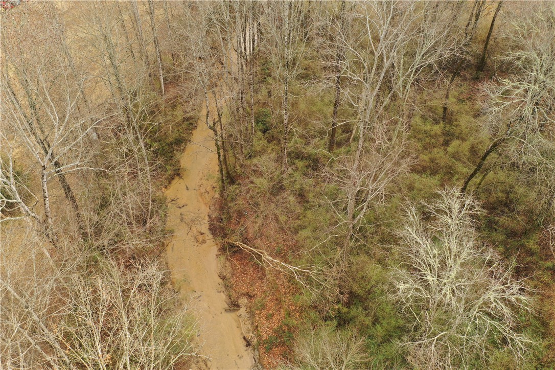 0 Chastain Road Liberty, SC 29657 - Photo 5 of 17