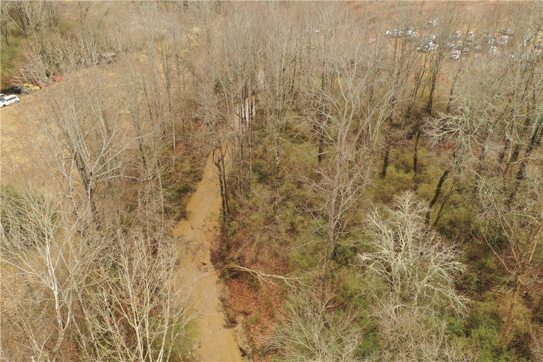0 Chastain Road Liberty, SC 29657 - Photo 10 of 17