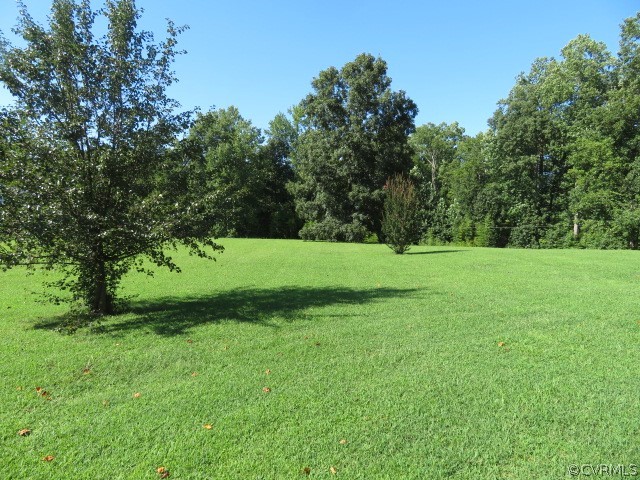 18503 Harrisons Road Amelia Court House, VA 23002 - Photo 8 of 50 18503 Harrisons Rd - Rear Yard 1